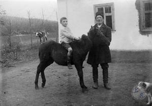 Мальчик на жеребенке. Сельскохозяйственная колония "Свет", Одесский район, Украина. 1928 г.
