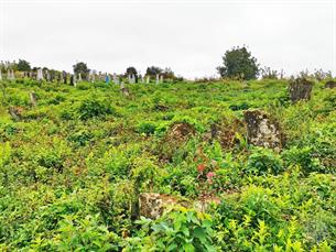 Еврейское кладбище Черного Острова