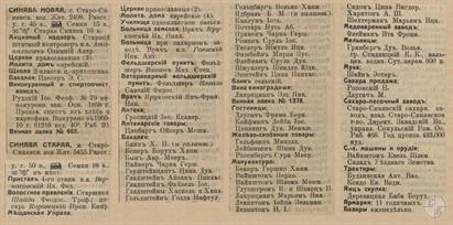 Старая и Новая Синява в справочнике "Весь Юго-Западный край", 1913