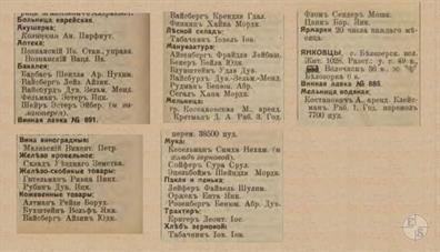 Ямполь в справочнике "Весь Юго-Западный край", 1913