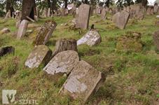 Еврейское кладбище. Фото сайта.sztetl.org.pl Еврейское кладбище. Фото сайта.sztetl.org.pl