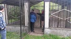 Здесь похоронены хасидские цаддики, их жены и ученики Здесь похоронены хасидские цаддики, их жены и ученики