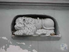 The lion hammered into the crevice under the roof