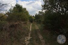 The road to the Jewish cemetery