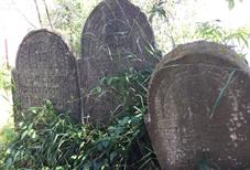 Тросник, еврейское кладбище