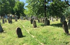Нересница, еврейское кладбище