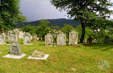 Ольховцы, еврейское кладбище