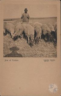 Йеменский еврей. Йеменский еврей (пасет овец). Изд-во Phoenix, Берлин, Германия