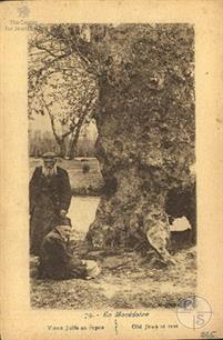 Старые евреи на отдыхе. Македония, 1918