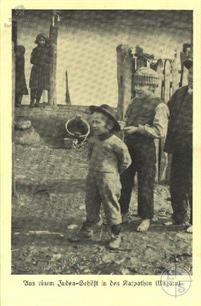 Из еврейской фермы в Карпатах. Венгрия, 1900-е гг.