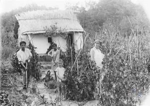 Выращивание винограда. Криалини, Бессарабия, Румыния. Конец 1920-х гг.