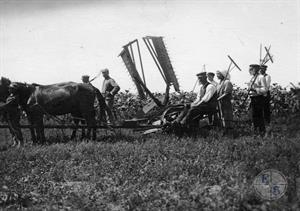 Еврейские земледельцы пользуются жатвенной машиной с прокатного пункта ОРТа. Александрены, Бессарабия, Румыния. 1927 г.
