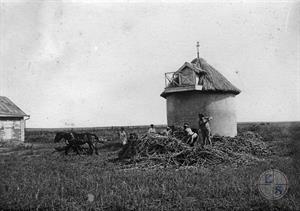 Набивка силосной башни кукурузой. Сельскохозяйственная колония "Фрайхэйм", Украина. 1929 г.