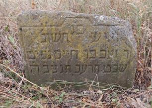 Jewish cemetery in Balamutivka, 2006