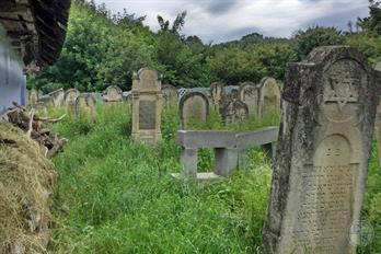 Jewish cemetery in Nepolokivtsi, 2019