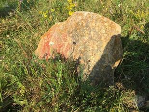 Jewish cemetery in Rzhavyntsi, 2019