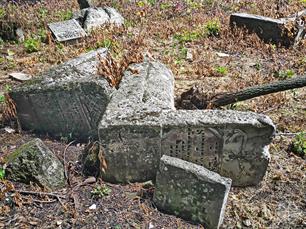 Zarozhany Jewish cemetery, 2019