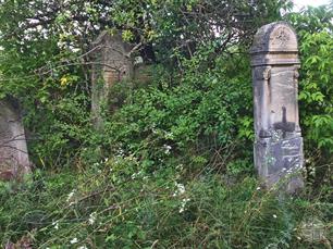 Jewish cemetery in Zveniachyn, 2019