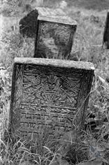 Jewish cemetery in Novoselitsa, 1996