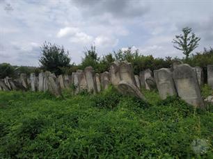 Jewish cemetery in Nyzhni Stanivtsi, 2019