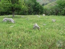 Самое старое еврейское кладбище Каменца