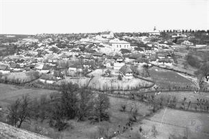 Panorama of 1929. Synagogue in the center on the right