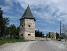 Castle in Kryvche