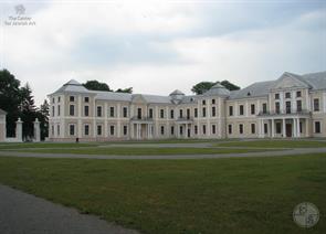 Palace in Vishnevets, 2011