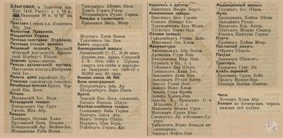 Дзыговка в справочнике "Весь Юго-Западный край", 1913