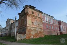 Яновский замок. Фото Neovitaha777, Википедия