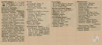 Копайгород в справочнике 1913 года