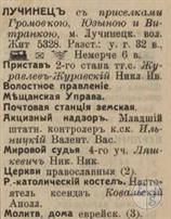 Лучинец в справочнике "Весь Юго-Западный край" 1913 года