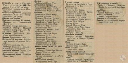 Пиков в справочнике "Весь Юго-Западный край", 1913