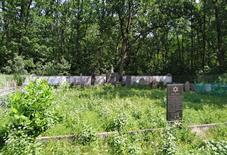 Новое еврейское кладбище в Терновке