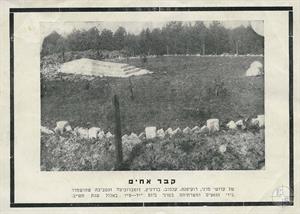 A mass grave of Jews from Bereżnica and from other localities of the Sarny County