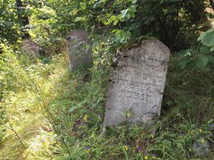 Jewish cemetery of Ludvipol in the village of Hubkiv behind Sluch river, 2019