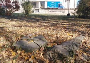 New Jewish cemetery, 2019