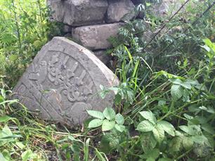 Jewish cemetery in Kozyn, 2019