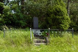 Mass grave 2 in Lukiv, 2016