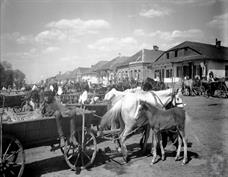 Рынок в Олике, 1912