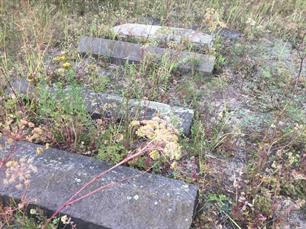 Jewish cemetery in Osova, 2019