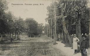 Radzivilov, Lipova street. Postcard, 1915. Publisher Suvorkin agency. Printer Sherer, Nabgolts & Co, Moscow