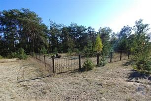 Jewish cemetery in Sernyky, 2019