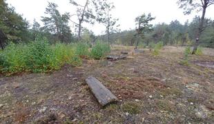 Jewish cemetery in Tomashhorod, 2019