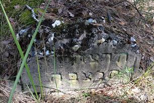 Jewish cemetery in Troyanivka, 2019