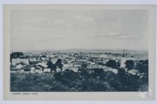 Панорама Дубно, нач. ХХ в. Справа на заднем плане видна синагога