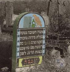 Tobi, daughter of Moshe, died in 1913. Painted grave done by E. Fiedorowicz using computer tools