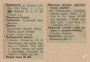 Mezhyrich in the 1913 reference book 