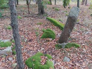 Jewish cemetery in Osnytsk, 2019