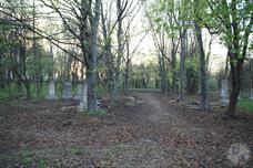 Старое еврейское кладбище. Фото 2012 года
